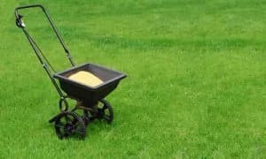 Lawn Care Treatments and Fertilizing.