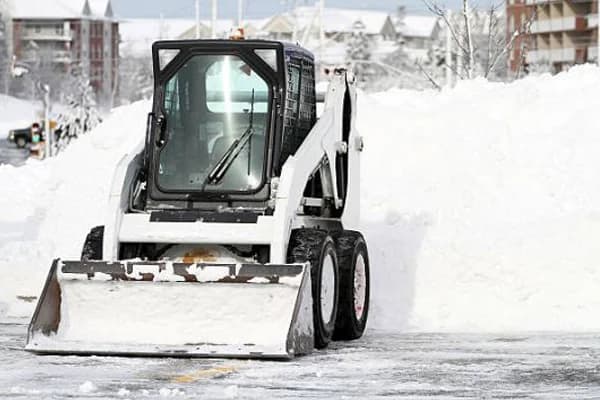 Bobcat at the ready