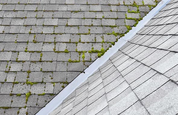 hawaii-roof-cleaning