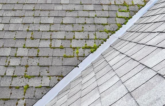 hawaii-roof-cleaning