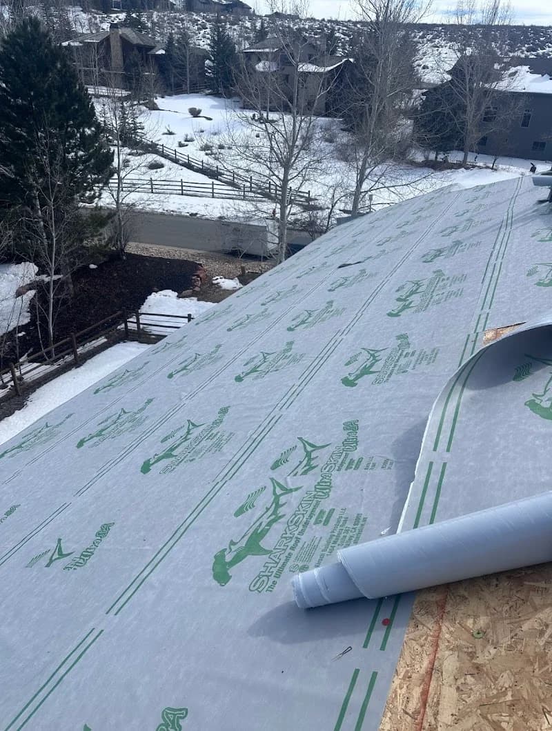 Wise Roofing portfolio photo