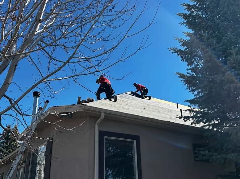 Wise Roofing portfolio photo