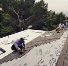 Shingle Roof