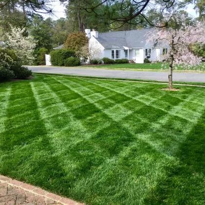 freshly cut striped lawn