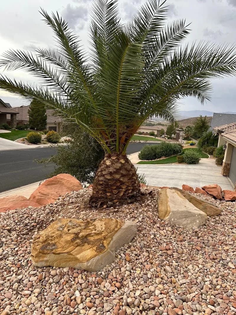 Landscaping Company in Richmond Lawn Service portfolio photo
