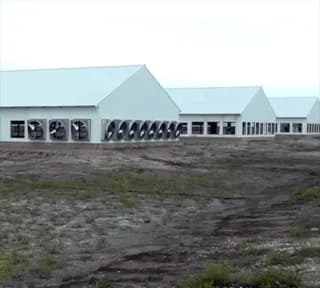 Ag Building Insulation