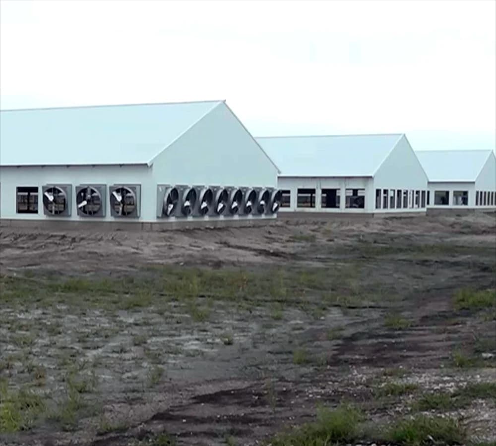 Ag Building Insulation