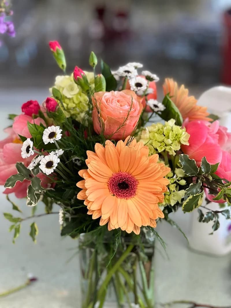 Bowcutts portfolio photo