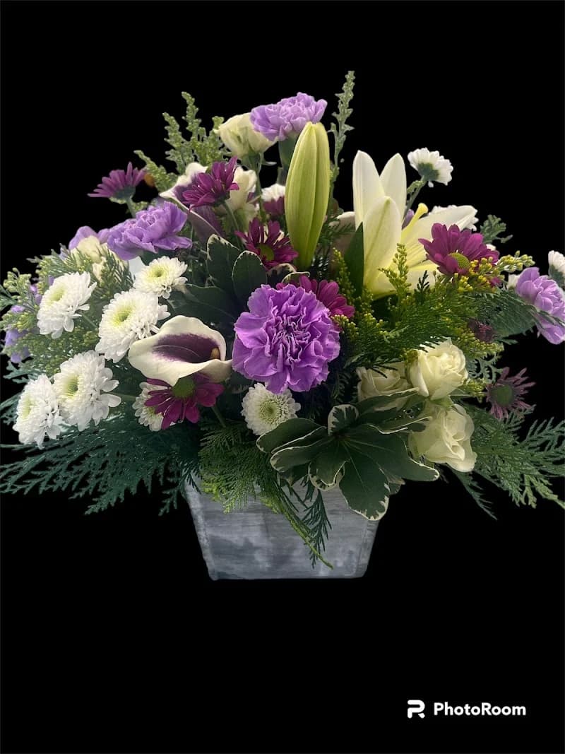 Bowcutts portfolio photo