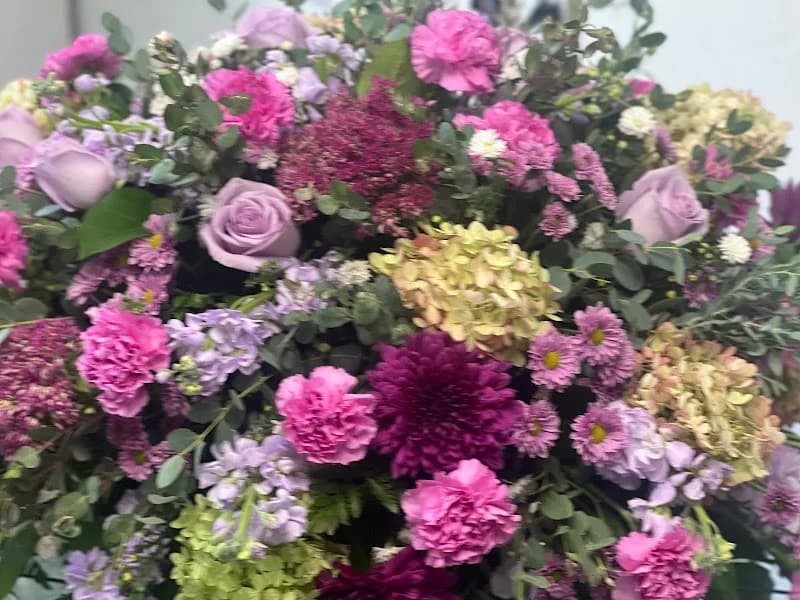 Bowcutts portfolio photo