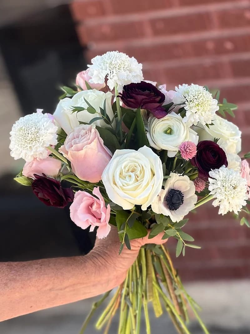 Bowcutts portfolio photo