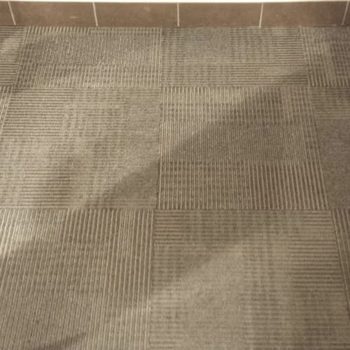 Tile Gallery Paradise Flooring Design