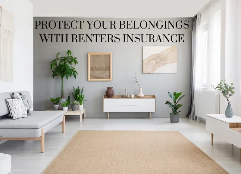 Integrated Insurance Solutions, Inc. portfolio photo