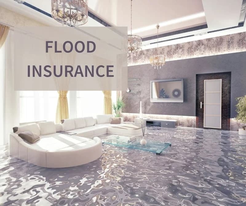 Integrated Insurance Solutions, Inc. portfolio photo