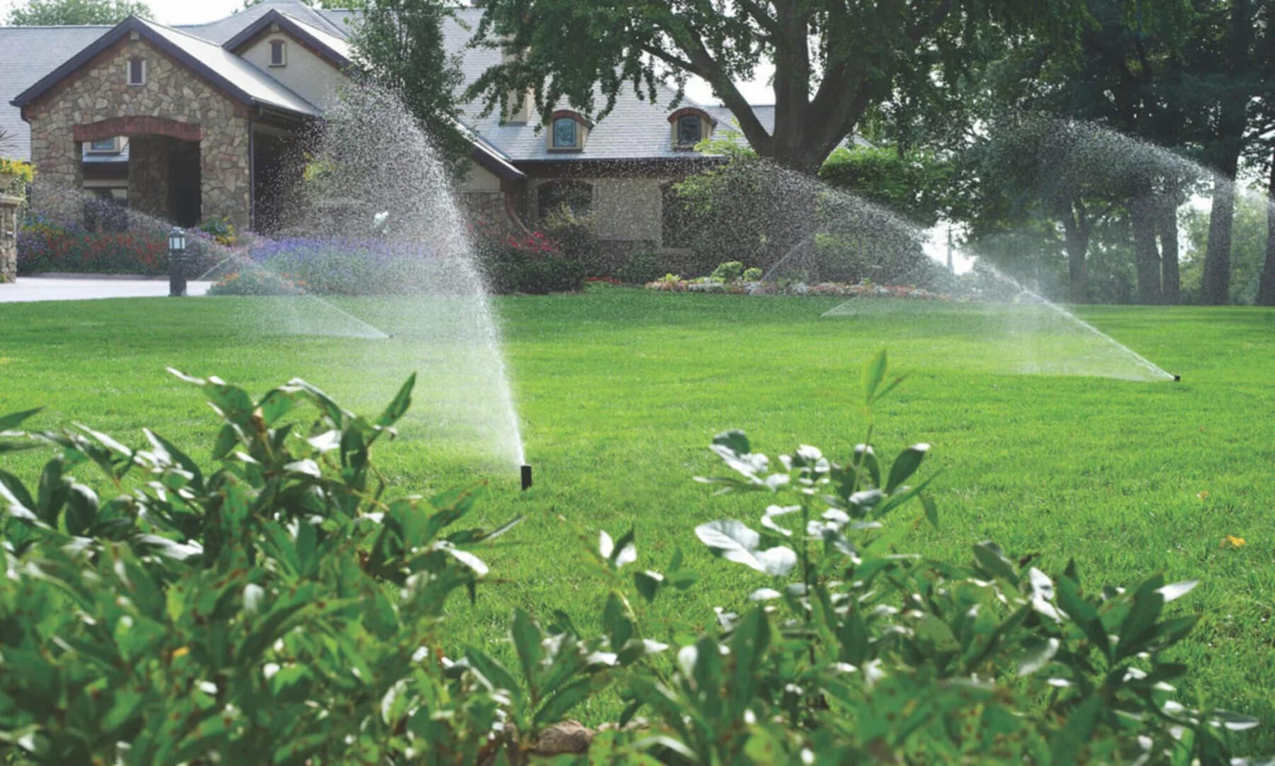 Residential Irrigation Experts - Design. Installation. Service. portfolio photo