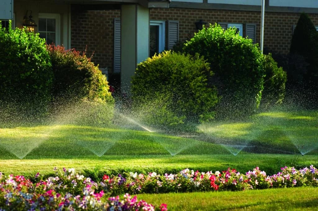 Residential Irrigation Experts - Design. Installation. Service. portfolio photo