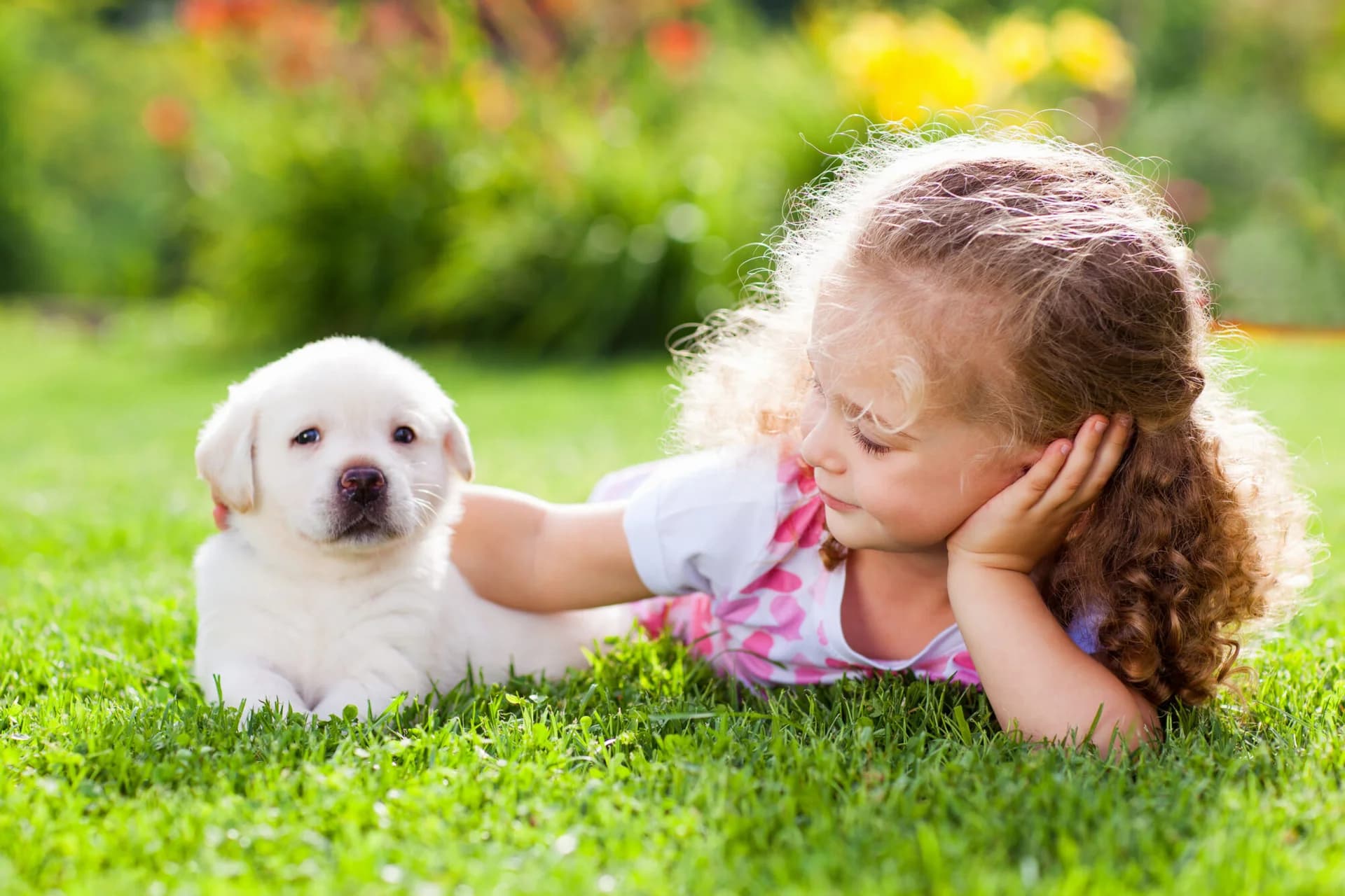 Family Friendly Lawns