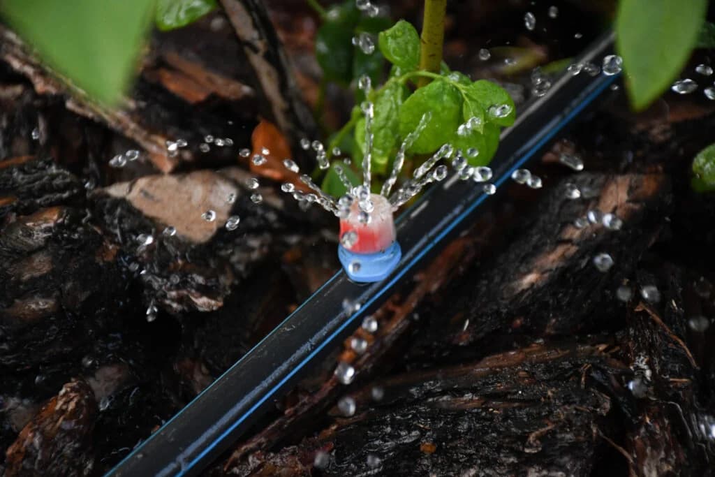 Residential Irrigation Experts - Design. Installation. Service. portfolio photo