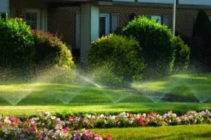 Residential Irrigation Experts - Design. Installation. Service. portfolio photo