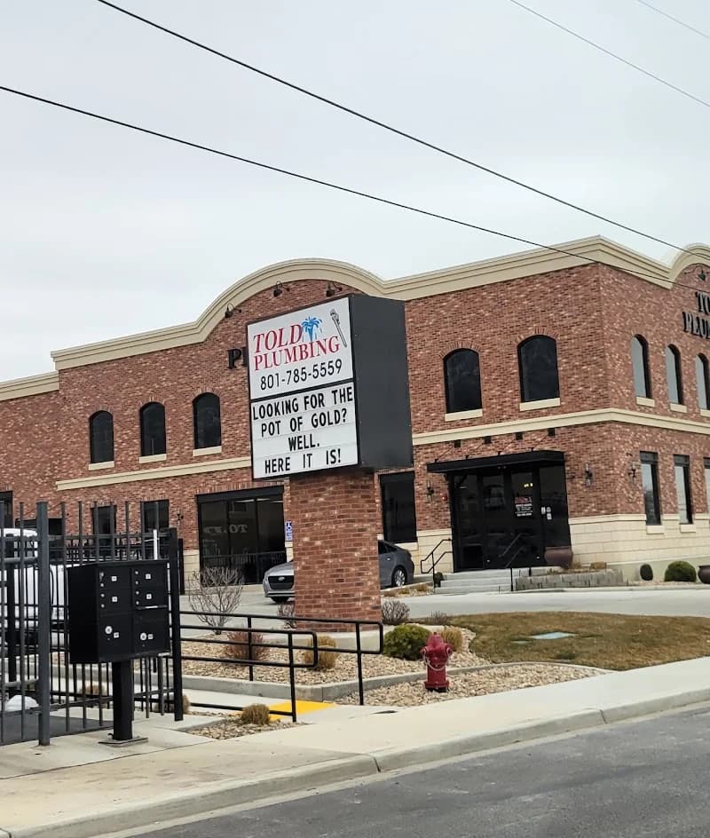 Told Plumbing portfolio photo