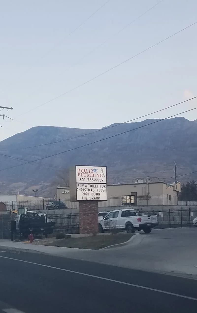 Told Plumbing portfolio photo