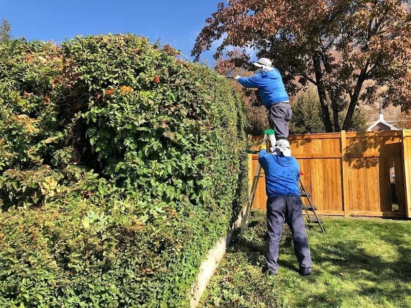 Local Lawn Care portfolio photo