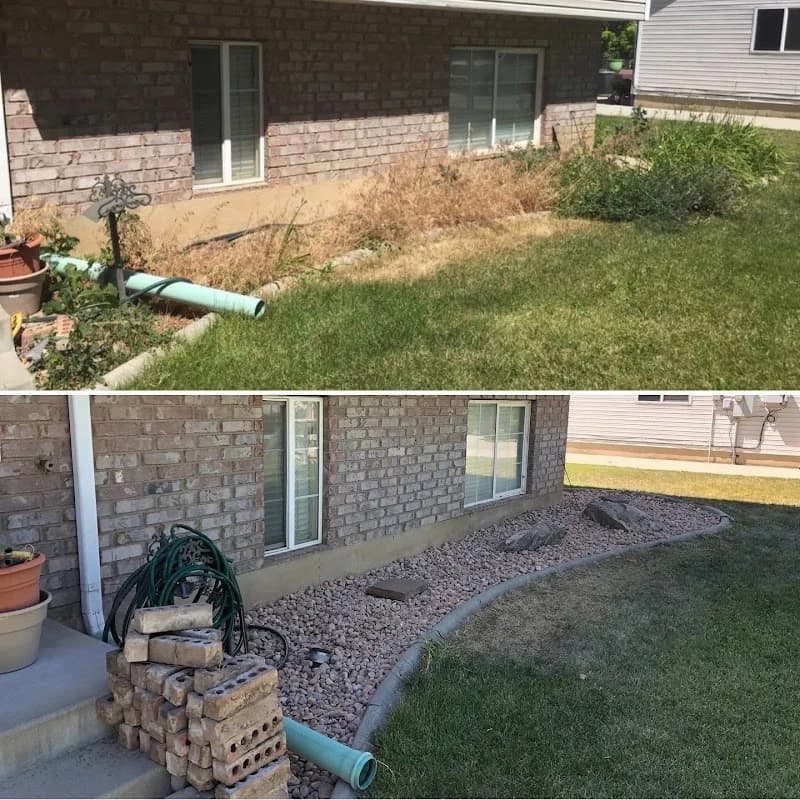 Local Lawn Care portfolio photo