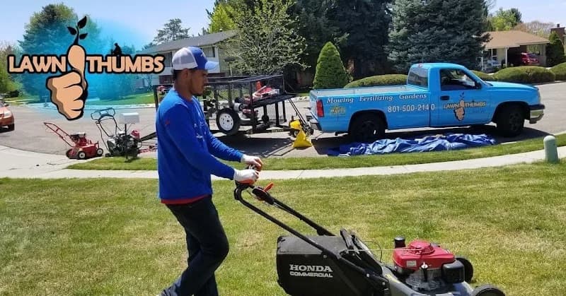 Local Lawn Care portfolio photo