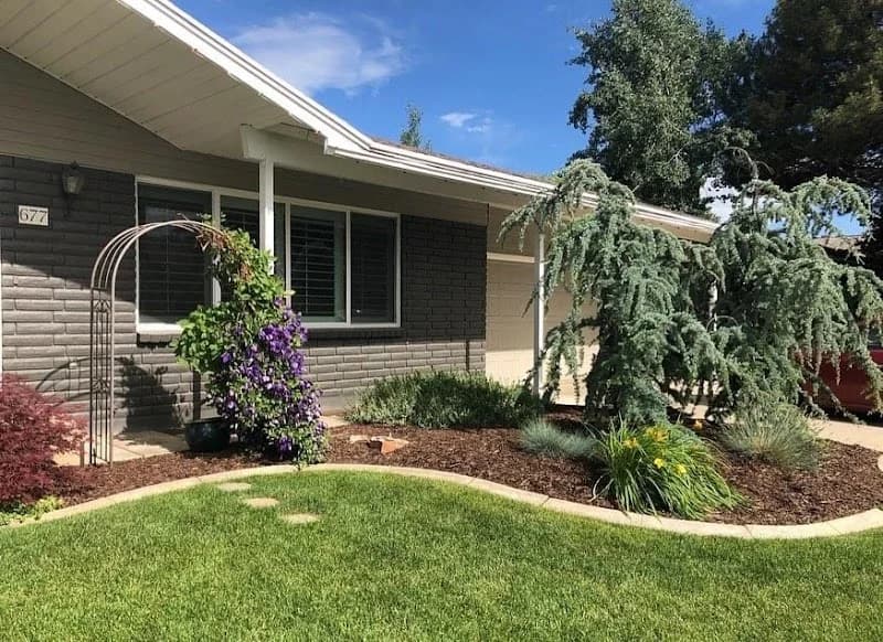 Local Lawn Care portfolio photo