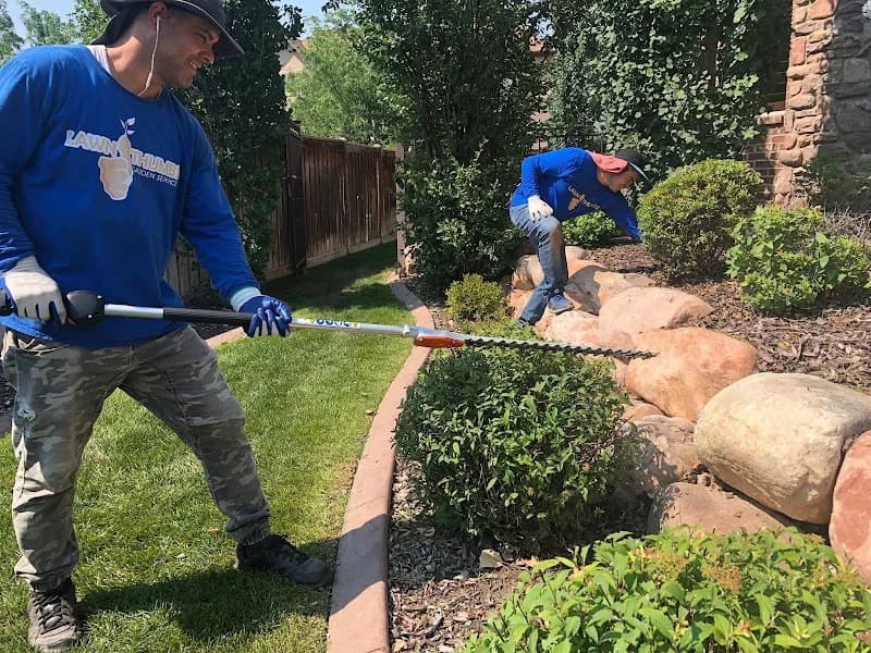 Local Lawn Care portfolio photo