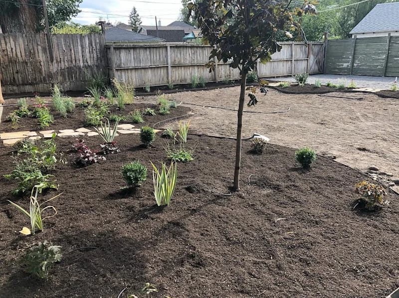 Local Lawn Care portfolio photo