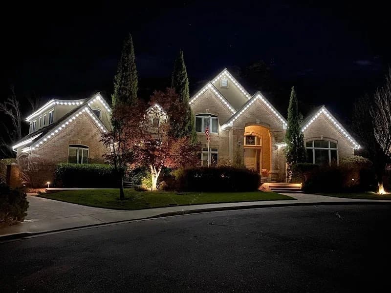 Local Lawn Care portfolio photo