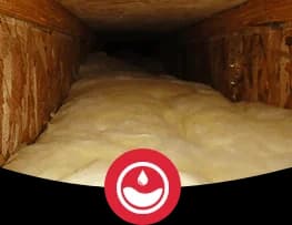 Home-Crawl-Space-Insulation