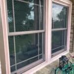 Unlimited Windows portfolio photo