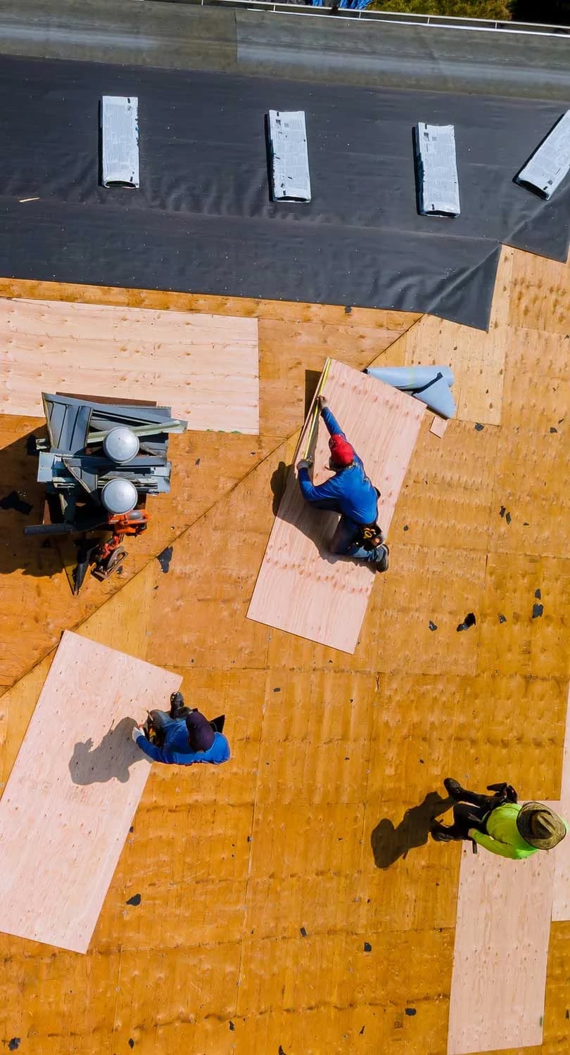 Wilson and Sons Roofing portfolio photo