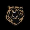baer-favicon