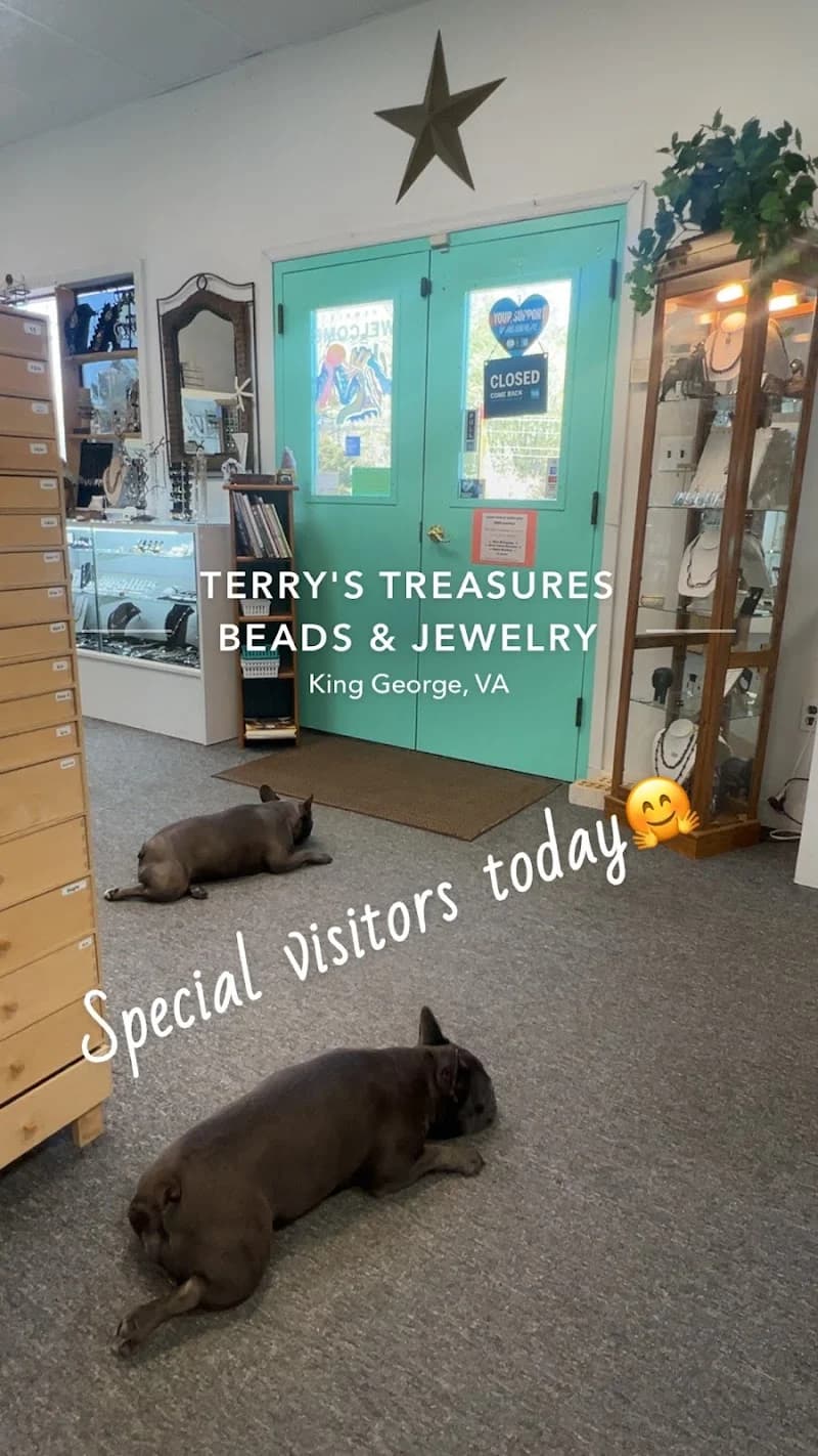 Terry George portfolio photo