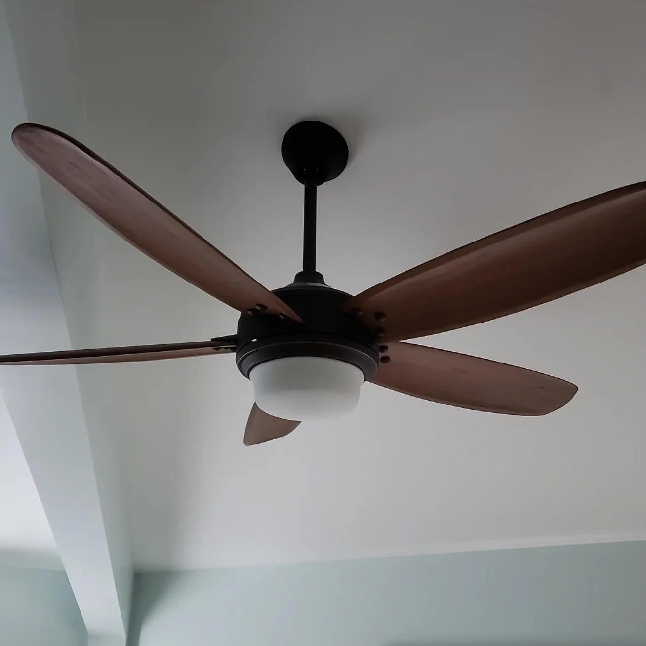 Ceiling Fan/Light Fixture install