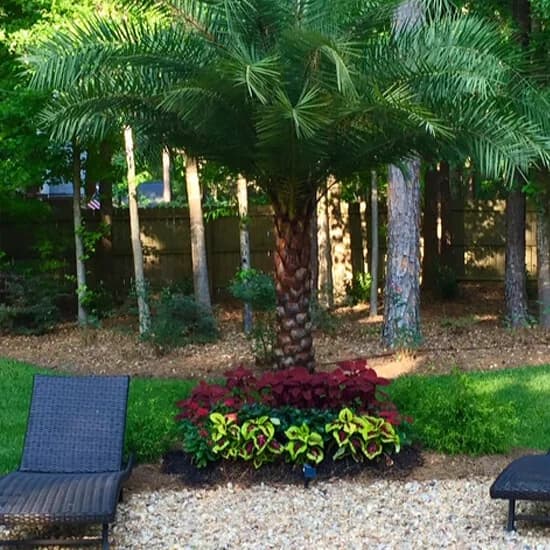 Residential Services