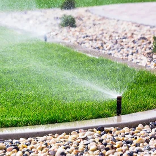 Lawn Services