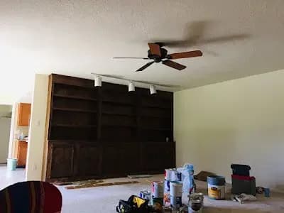 Professional Painter