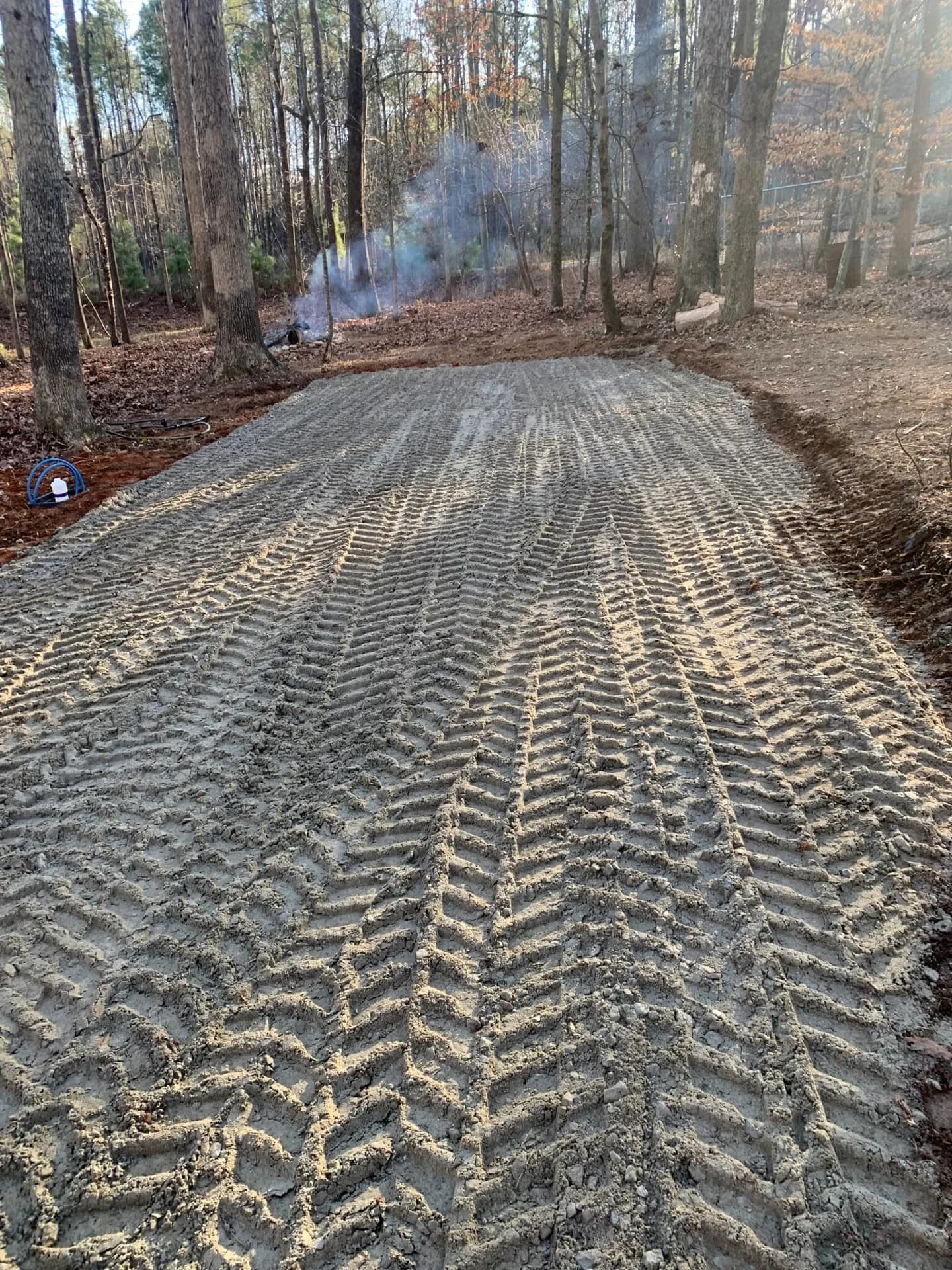 A dirt road in the woods with a tire track in the middle.