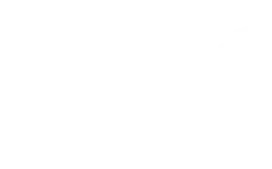 icon of United States