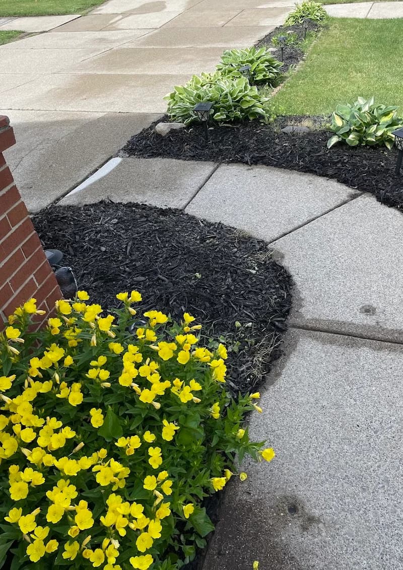 Concrete Mud portfolio photo