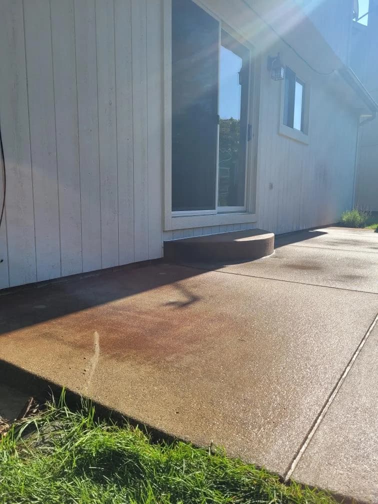 Concrete Mud portfolio photo