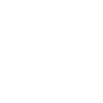 Laminam Flooring Icon