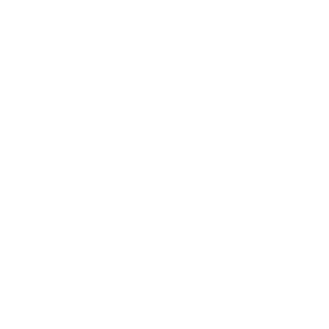 Estimator Icon
