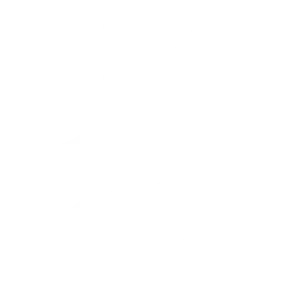 Laminam Flooring Icon