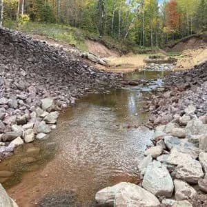 Environmental Remediation