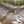 Environmental Remediation